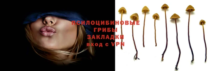 кокаин премиум Абаза